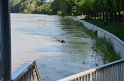 Fehlalarm PRhein Koeln Porz Mitte P2